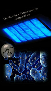 Sterilization of Semiconductive Nanomaterials: The Case of Water‐Suspended Poly‐3‐Hexylthiophene Nanoparticles