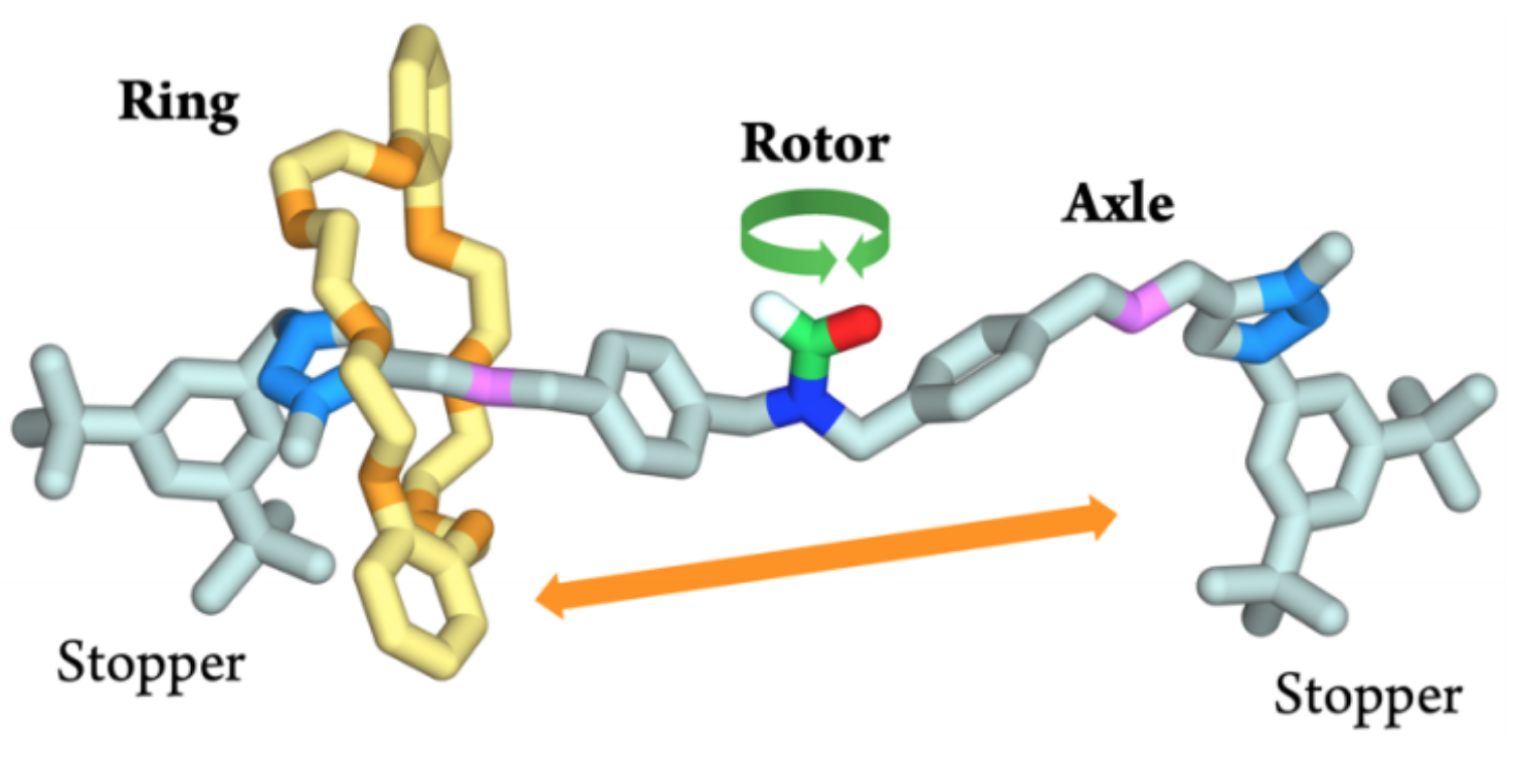 A nanometric molecular gear