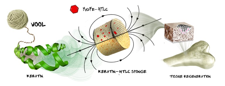 New magnetic scaffolds for tissue regeneration