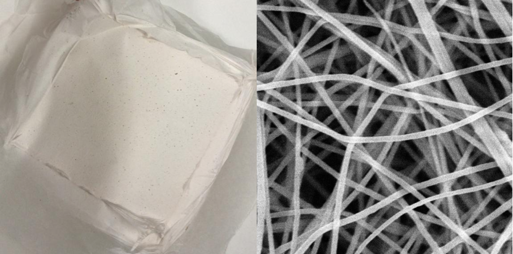 Sustainable Polymers