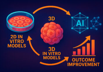 Revolutionizing Cancer Research with 3D Models and AI