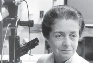 Rita Levi Montalcini – 10 years anniversary  