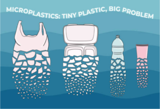 New collaboration to fight microplastic pollution in the oceans￼