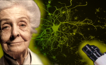 Rita Levi Montalcini