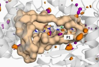 A new epigenetic target for cancer therapy